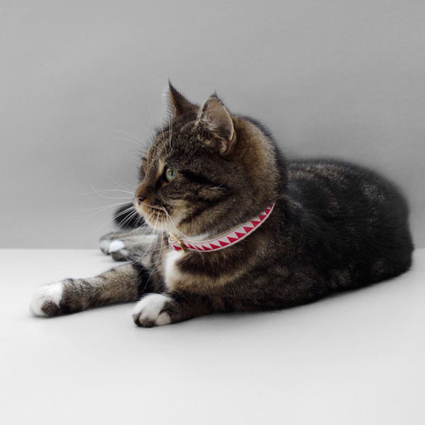 SEE SCOUT SLEEP Cat Collar Nice Grill (Cream x Vermillion)